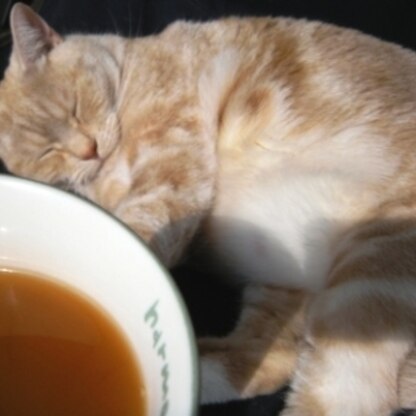 おかわり～♪・・してもまだ寝てますｗ
デブ猫お昼寝レポみたいになっちゃいましたが紅茶は美味しく頂きました♡
ご馳走様です^m^！